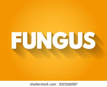 Fungus is any member of the group of eukaryotic organisms that includes microorganisms such as yeasts and molds, text concept background