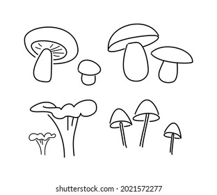 fungus autumn sketch thin lines on white background