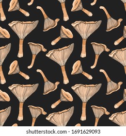 fungus boletus pattern on dark background