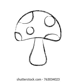 fungus icon image