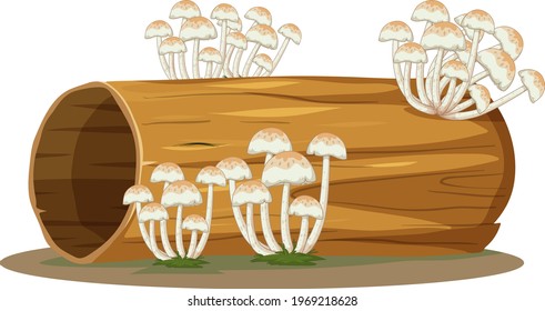 Fungus on log isolated on white background illustration