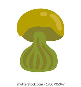 fungus plant boletus satanas hand draw style iconvector illustration design