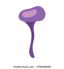 fungus plant cortinarius orellanus hand draw style vector illustration design
