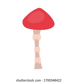 fungus plant hand draw style icon vector illustration design