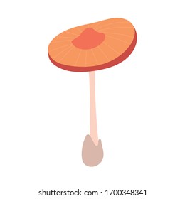 fungus plant paxillus involutus hand draw style icon vector illustration design