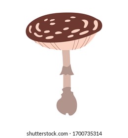 fungus plant paxillus involutus hand draw style icon vector illustration design