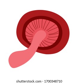 fungus plant praxillus involutus hand draw style icon vector illustration design
