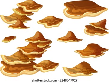 Fungus in rainforest. Set brown poisonous mushrooms. Isolated vector illustration, icon, clip art. Nature element for computer game.