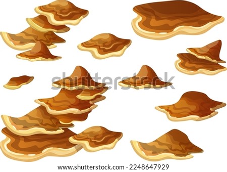 Fungus in rainforest. Set brown poisonous mushrooms. Isolated vector illustration, icon, clip art. Nature element for computer game.