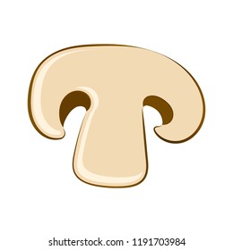 Fungus in a section. Vector illustration on white background
