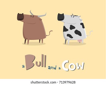 Funky bull and a cow