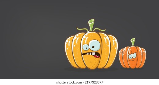 Funky Halloween or thanksgiving day horizontal banner with vector funny cartoon cute smiling friends pumpkins isolated on grey background. Vector Cartoon pumpkins set and collection