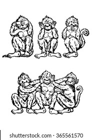funny 3 monkeys concept, vector illustration design, hand drawn