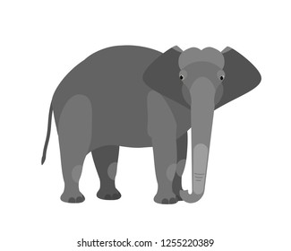 Funny adorable cute elephant isolated on white background. Large wild smart African and Asian herbivorous mammal animal. Fauna of savannah. Colorful vector illustration in flat cartoon style.