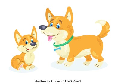 Perro corgi adulto gracioso con un cachorro adorable. Al estilo de las caricaturas. Aislado sobre fondo blanco. Ilustración plana vectorial.