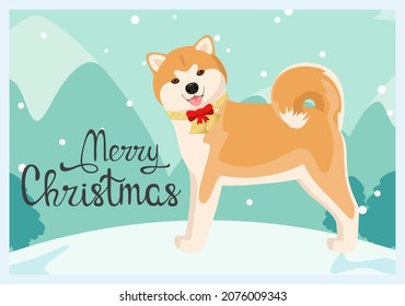 Funny akita dog with Christmas bells. A greeting card. Cartoon design.
