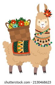 Funny alpaca carrying flowers in traditional old basket. Cute peruvian symbol