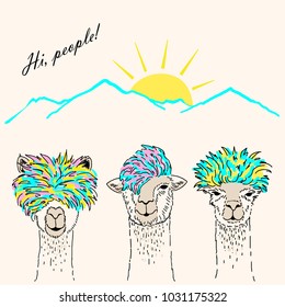 funny alpaca heads with punk hairstyles, vector illustration by hand