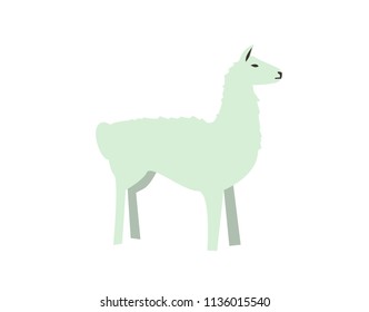 Funny alpaca, lama. Flat vector illustration. Isolated on white background