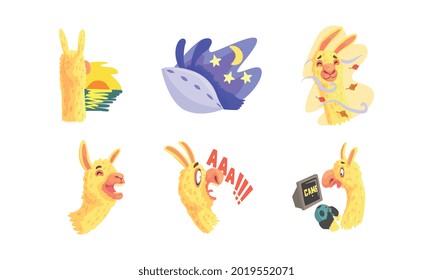 Funny Alpaca or Llama Character Watching Sunset and Sleeping Vector Sticker Set