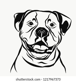 Download American Bulldog Stock Vectors, Images & Vector Art ...