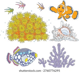 Funny anemonefish, parrotfish, shell, corals and small reef fishes of a tropical sea, a set of vector cartoon illustrations on a white background