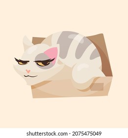 Funny angry cartoon cat sitting in a box