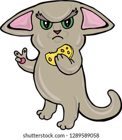 
funny angry cat color isolated image vector