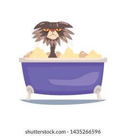 Funny Angry Cat Taking Bath, Funny Cartoon Character Animal Washing in Foamy Bathtub Vector Illustration