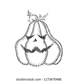 funny angry pumpkin sketch drawing on white. stock vector illustration