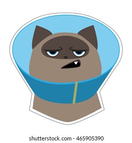 Funny angry siamese cat in blue cone collar. Cute cartoon character. Vector illustration Isolated on white background.

