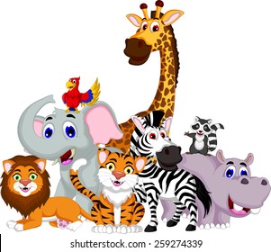 funny animal cartoon collection 