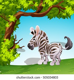 funny animal cartoon Zebra with Tree natural background