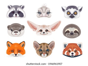 Funny animal faces or heads isolated on white background. Wild animals set. Cartoon cute cougar cub, sloth, red fox, fennec, lemur, red panda, otter, ostrich and raccoon vector flat illustration. 