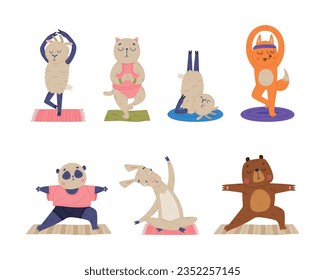 Funny Animal on Yoga Mat Practicing Asana and Stretching Vector Illustration Set