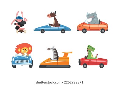 Funny Animal Riding and Driving Different Transport and Vehicle Along the Road Vector Set