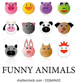 funny animals