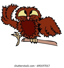 Funny animals, crazy owl. Animals and birds cartoon characters isolated on white