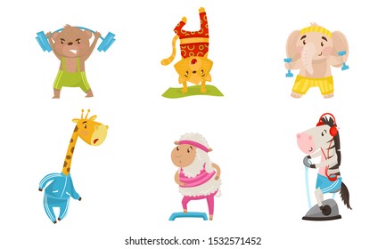 211 Sheep in the gym Images, Stock Photos & Vectors | Shutterstock