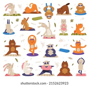 Animales divertidos en yoga mate practicando Asana y Stretching Vector Set