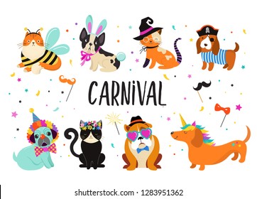 Funny animals, pets. Cute dogs and cats with a colorful carnival costumes, vector illustration