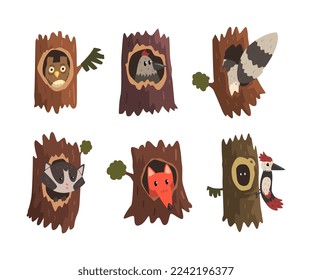 Funny Animals Sitting and Peeking ot From Tree Hollow Vector Set