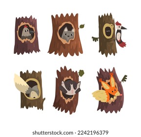 Funny Animals Sitting and Peeking ot From Tree Hollow Vector Set