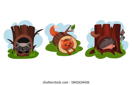 Animales divertidos sentados en el juego de vectores Hollow del árbol