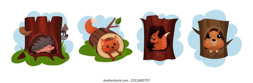 Animales divertidos sentados en el juego de vectores Hollow del árbol