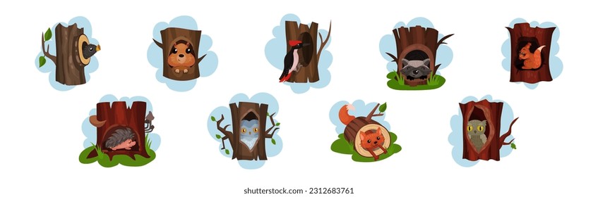 Funny Animals Sitting in Tree Hollow Vector Set