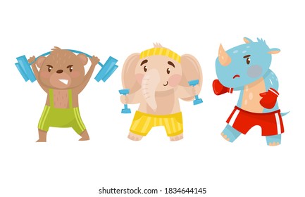 Funny Animals in Sportswear Lifting Dumbbells and Boxing Vector Set