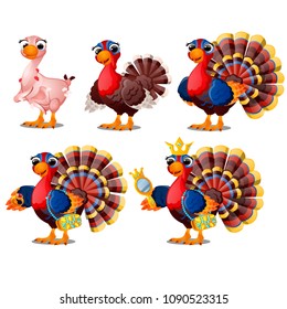Funny animated rich and plucked gobbler isolated on white background. Vector cartoon close-up illustration.