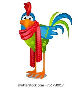 Funny Animated Rooster In A Red Knitted Scarf Isolated On Grey Background. Vector Cartoon Close-up Illustration.