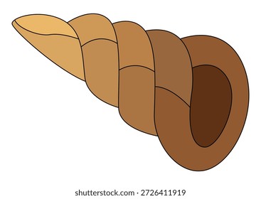 Funny auger seashell on a white background